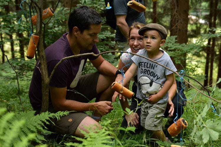 Nebát se vychovávat